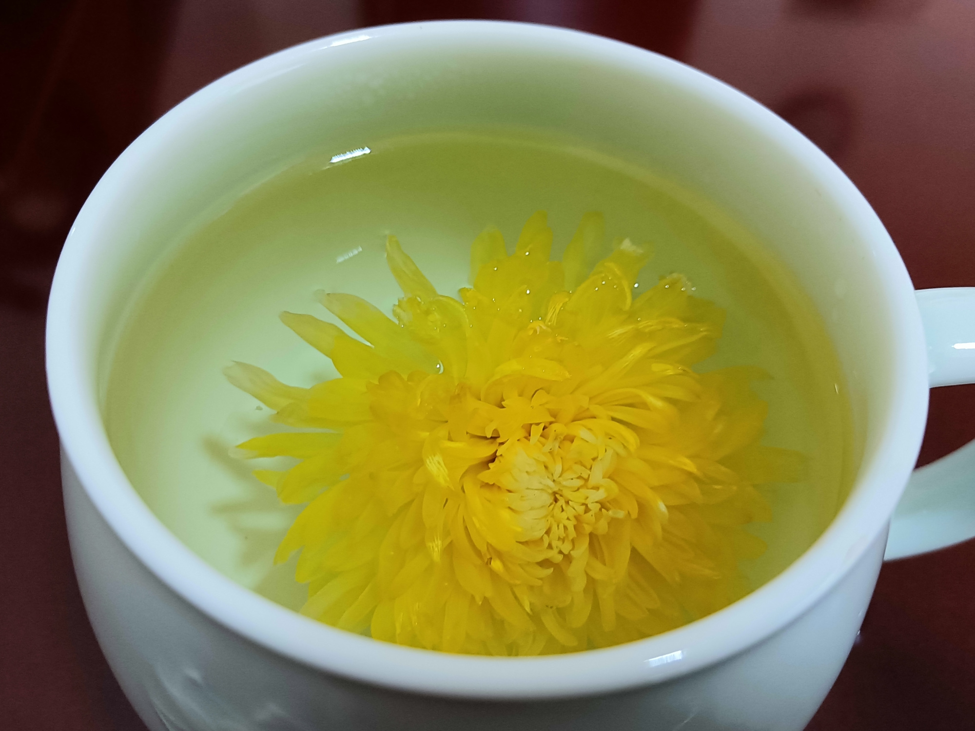 先苦后甘余韵久,千磨万励自芳华;七绝二首品菊花茶韵