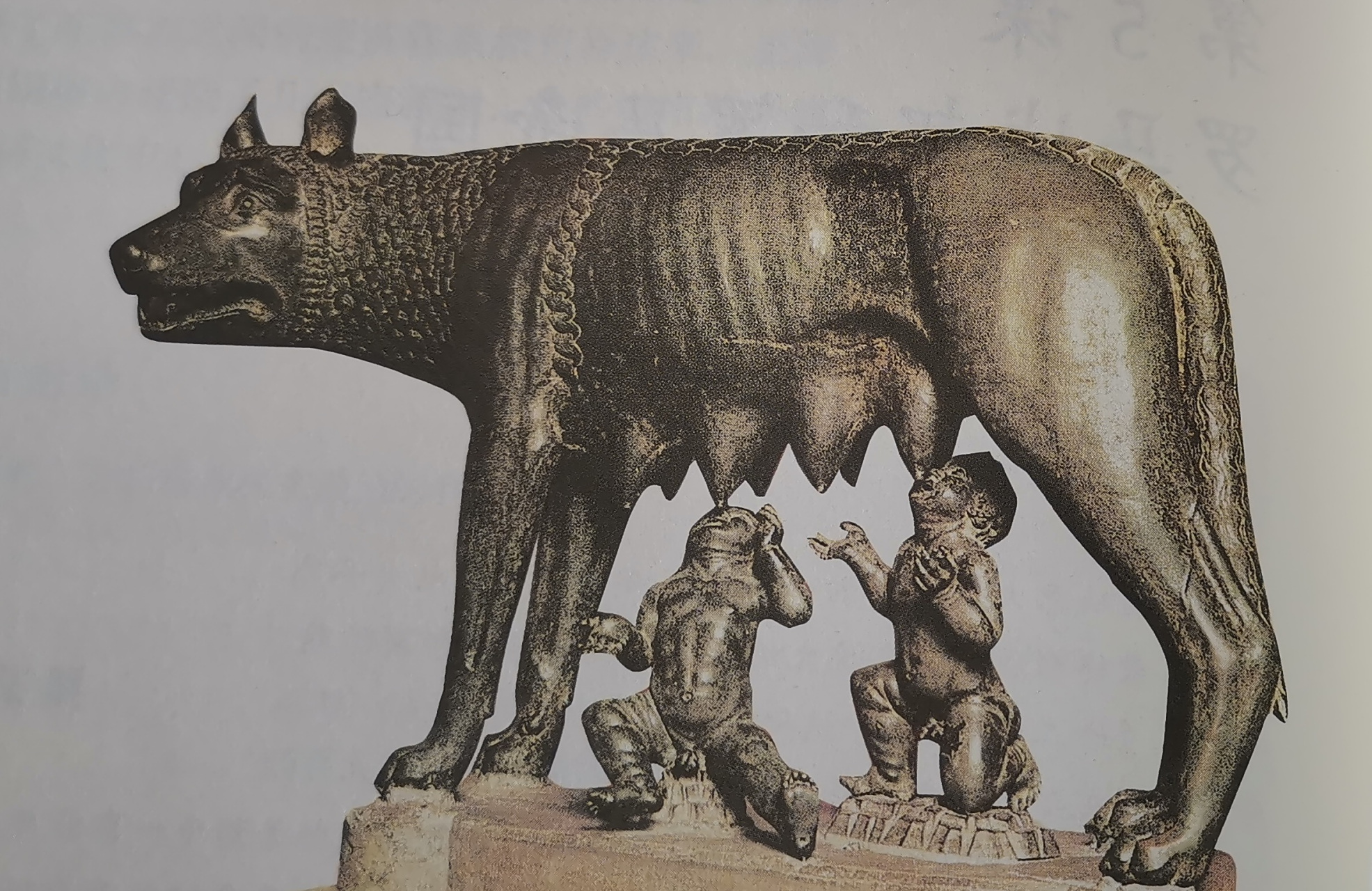 相传罗马城的创建人是孪生兄弟罗慕路斯和勒穆斯.