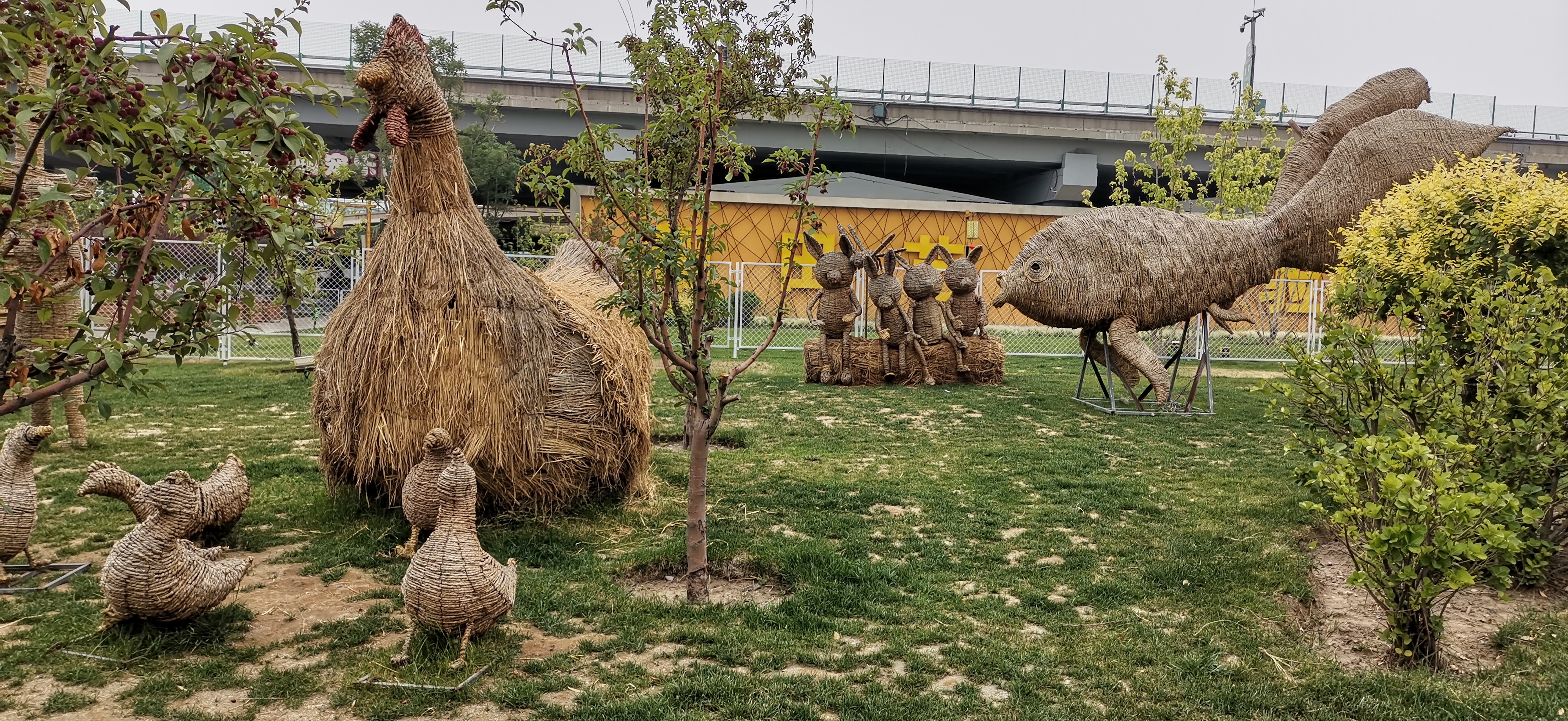 太原晋祠,稻田公园旅游观光