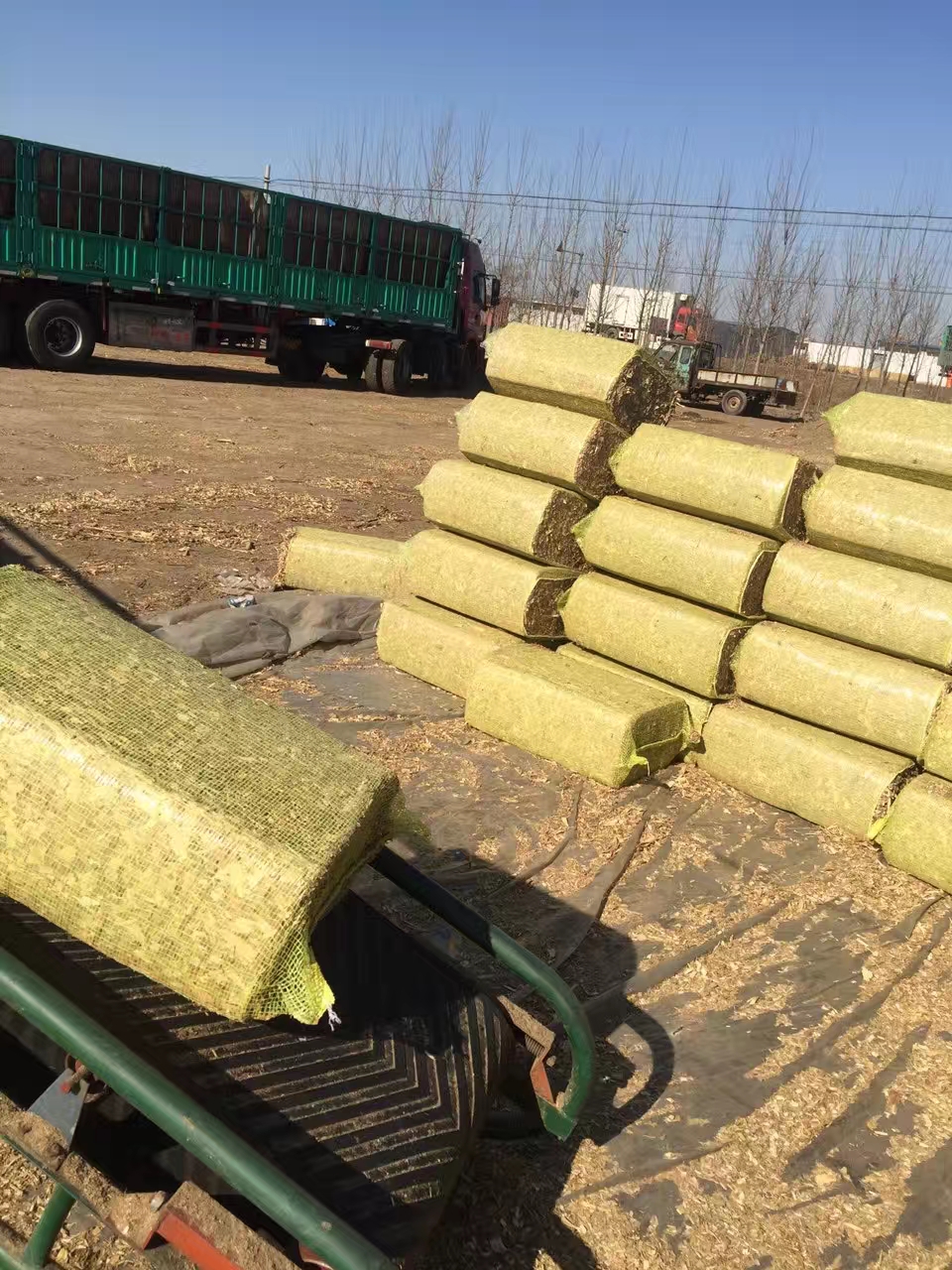 草块,压缩草块,玉米秸秆草块唐山大量供应