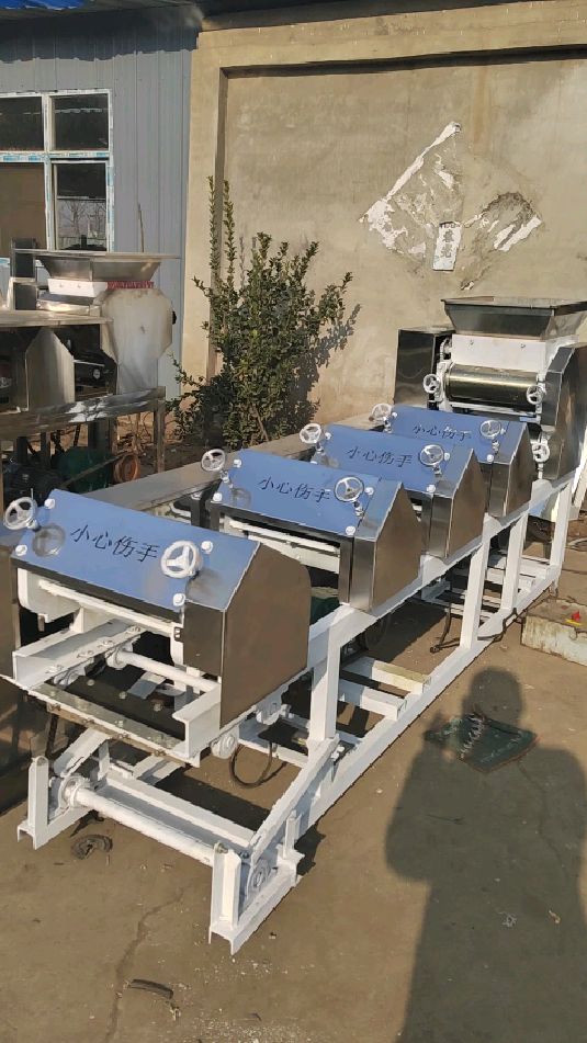 7300型全自动挂面机一夜爆红自动切断自动上杆一次成型防夹手护照