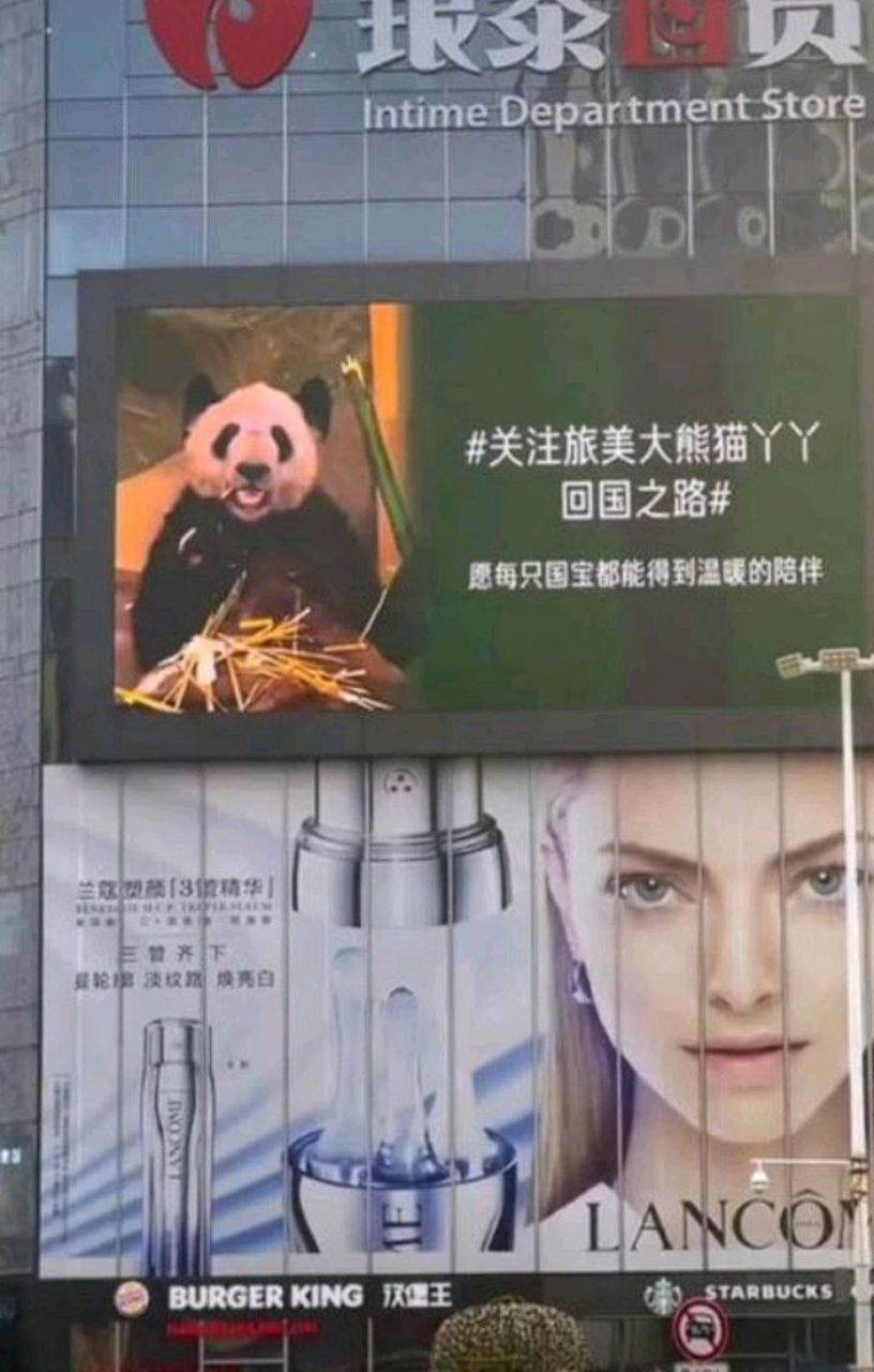 "义乌一商场大屏现巨幅丫丫海报",最近听说丫丫过的不好,大家都想早点