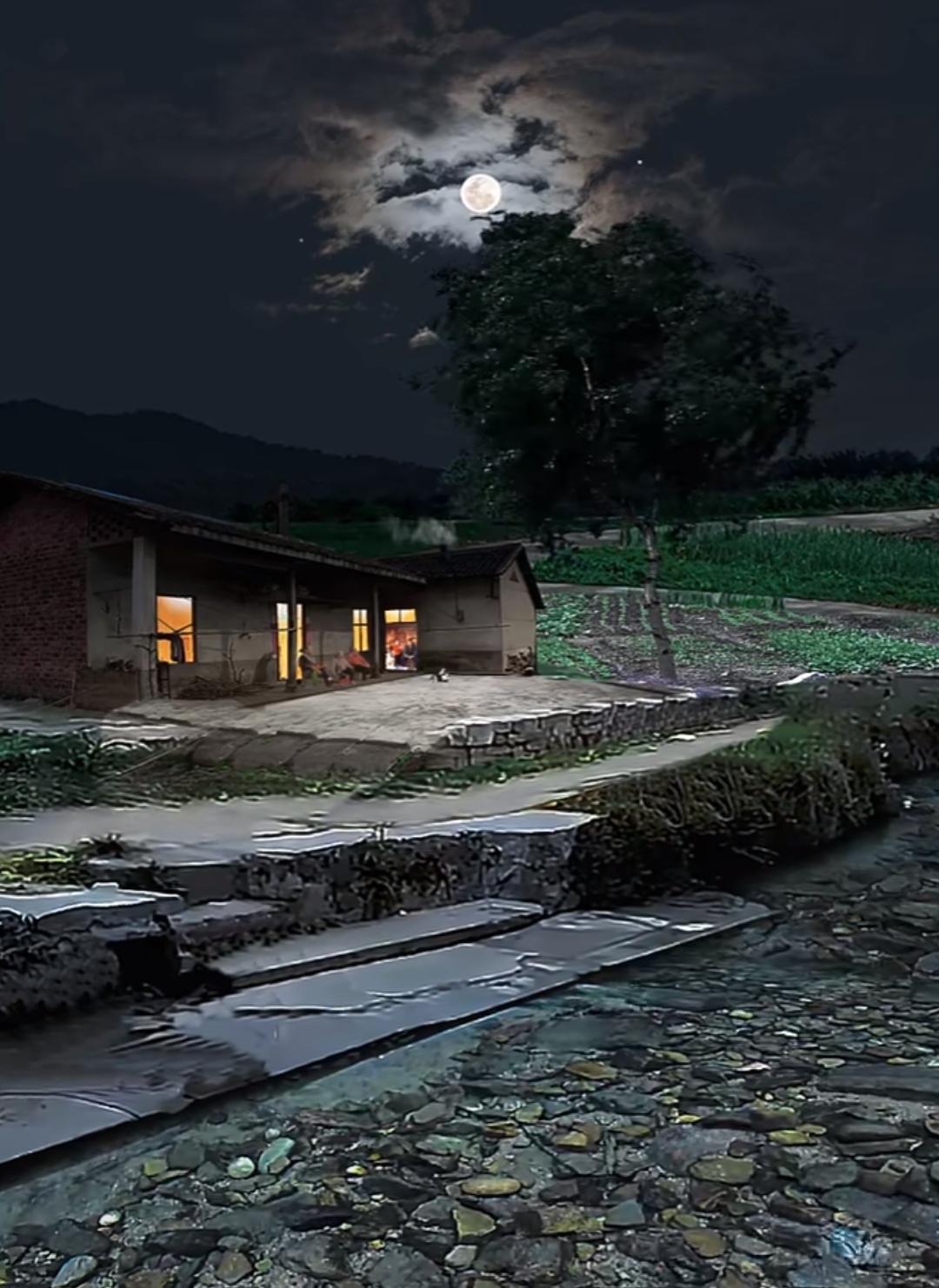 小溪流水依旧,月亮依旧升起,这片宁静的农村夜景也将延续下去