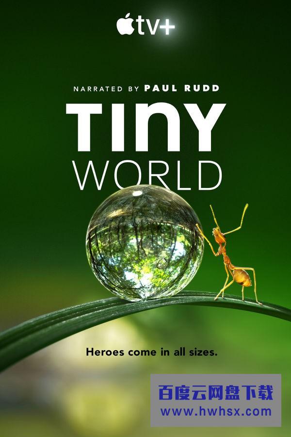 [小小世界 Tiny World 第一季][全06集]4K|1080P高清百度网盘