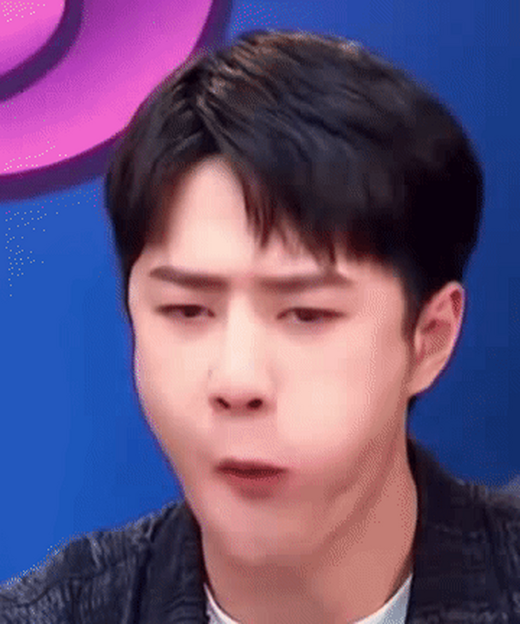 王一博猪猪.#猪猪王一博