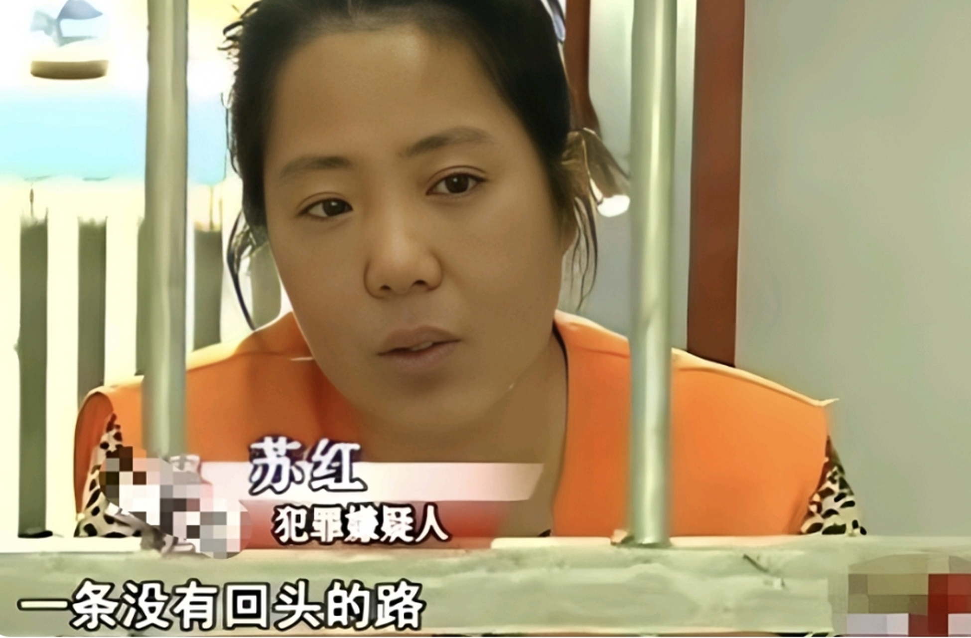 2010年时,苏红的侄子得了重病急需医药费.