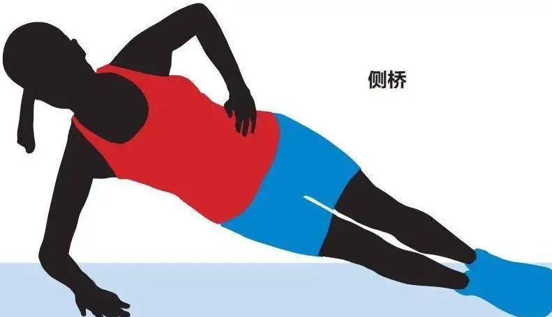 侧桥能发展躯干稳定性吗