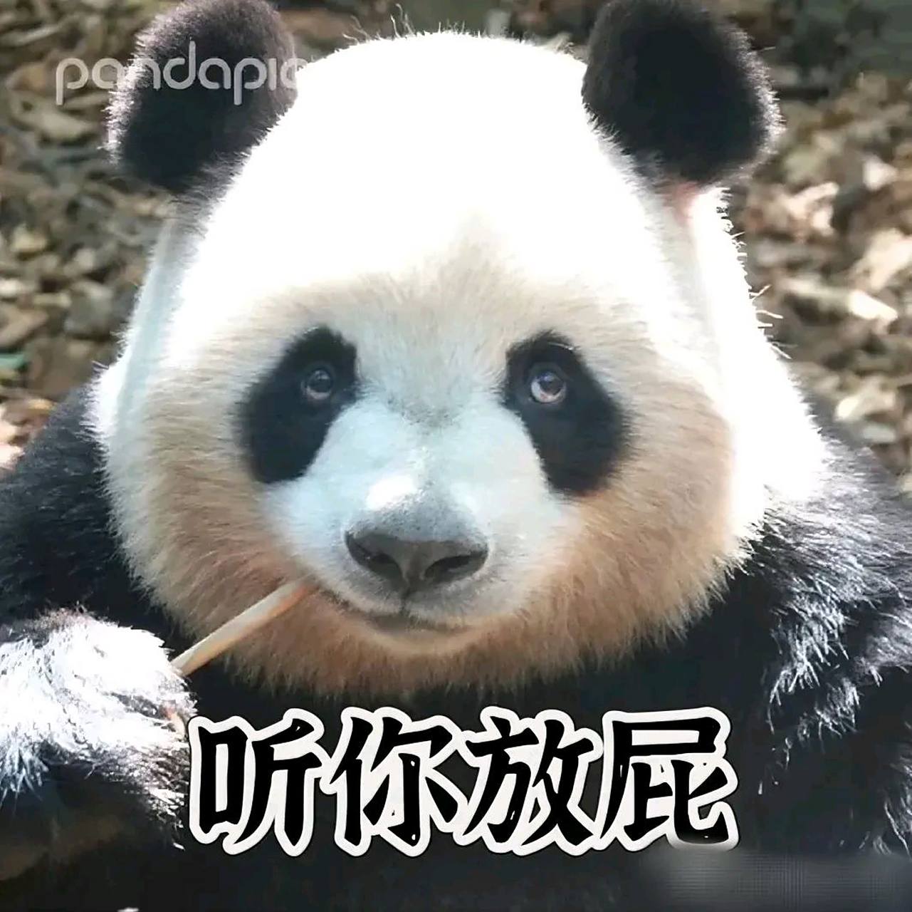 现在下个租户反映两台空调不制冷,这奇葩房东竟然联系我