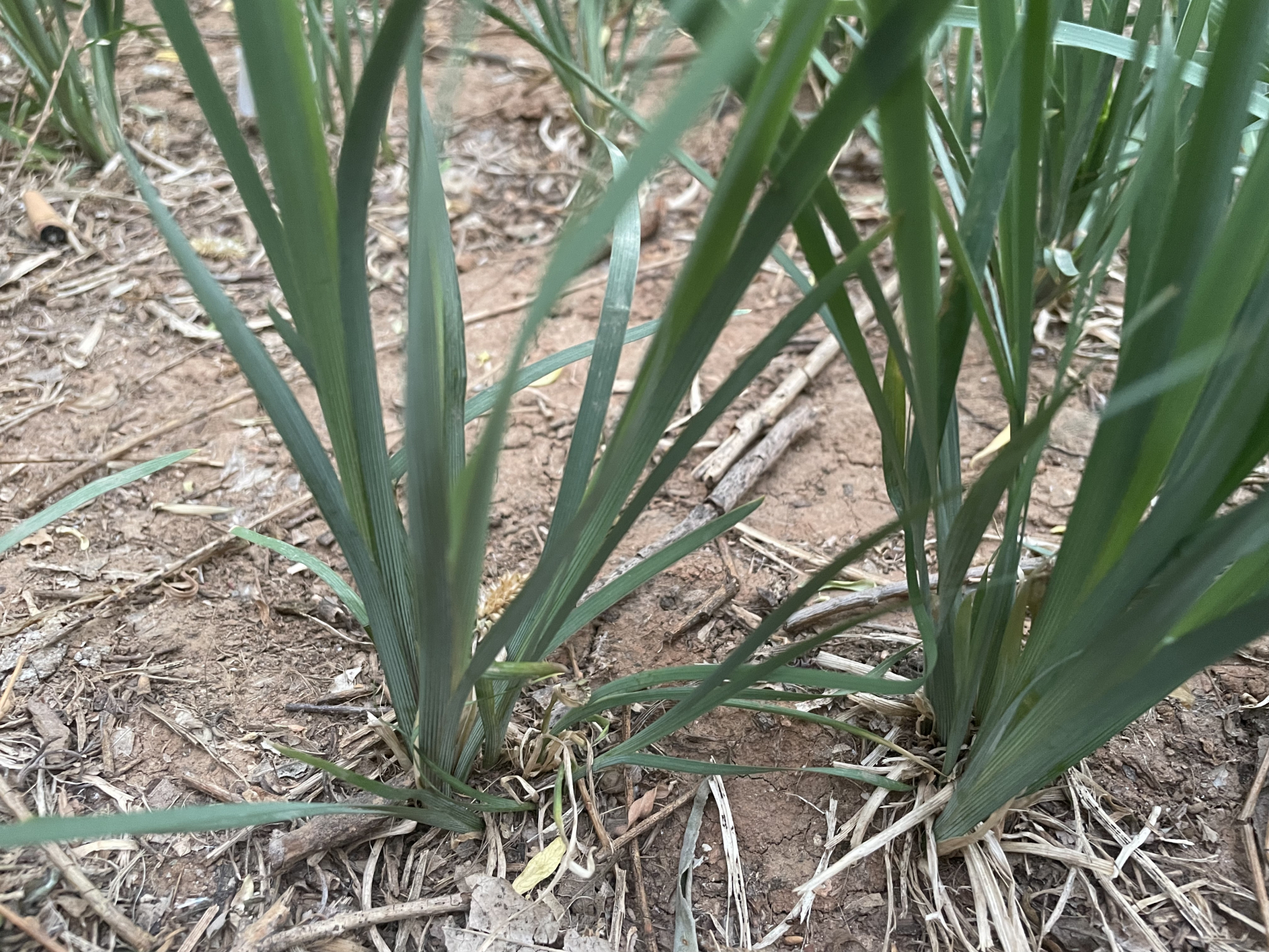 几十年前化工产业没这么发达