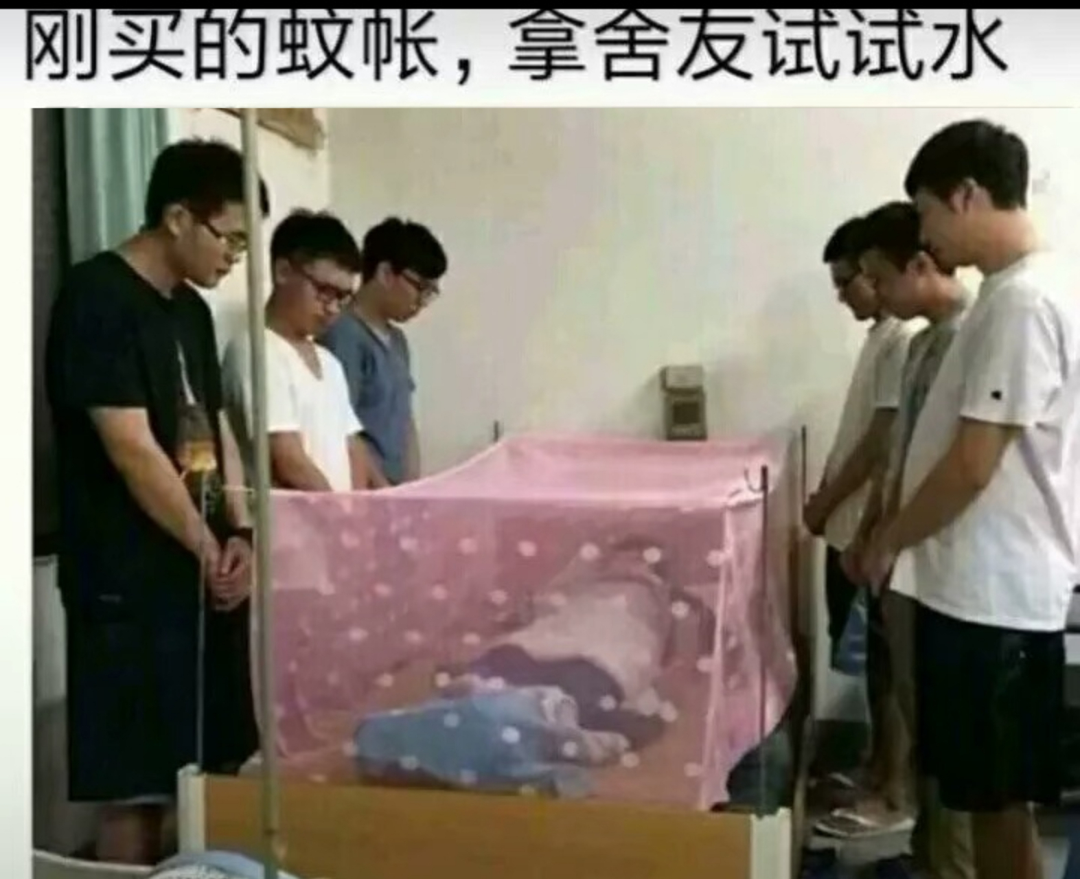 搞笑蚊帐图片