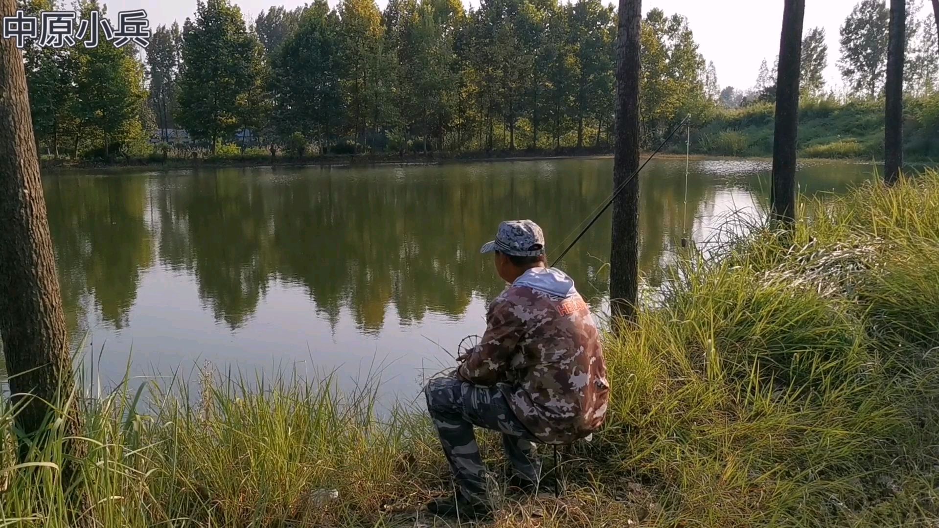 实拍农村专业打野生甲鱼师傅,一年能打一千多斤,年入十几万!