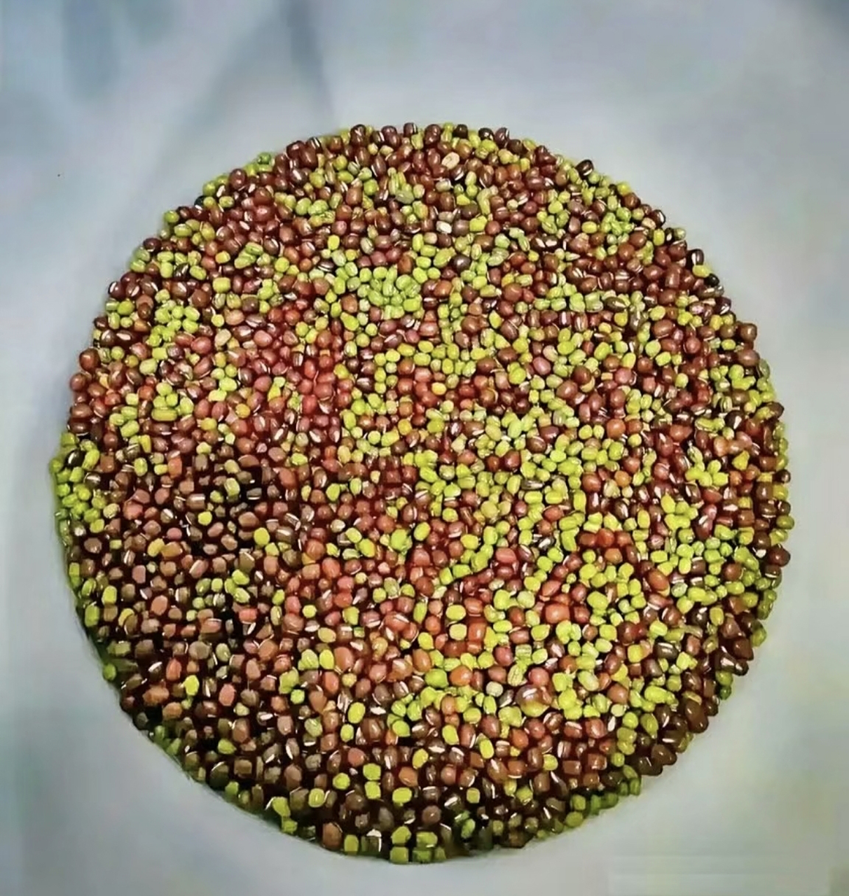 考验大家智力的时候到了,红豆和绿豆混在一起了,有什么方法可以快速将