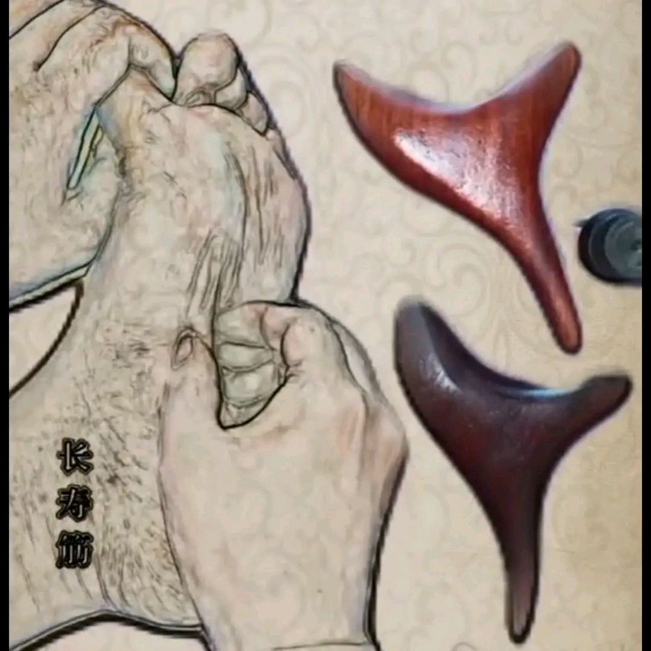 大拇指根部有一条筋,被称为"地筋".