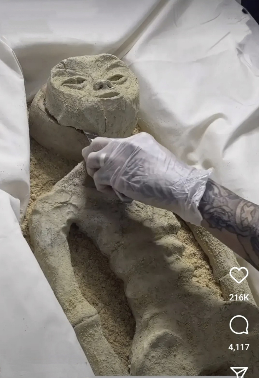 快来围观解剖外星人!满满的碳水化合物,看着非常绵密可口