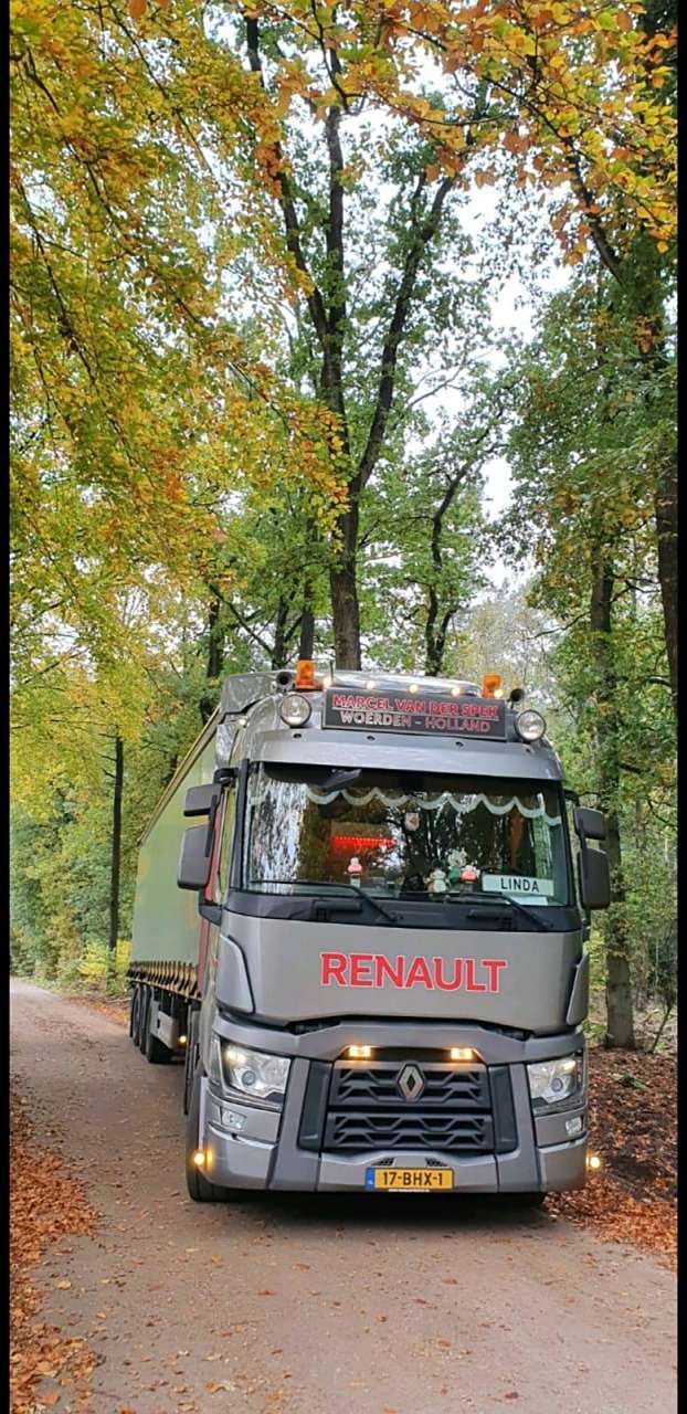 雷诺卡车让秋天的色彩更绚丽多彩!#西迁人车展