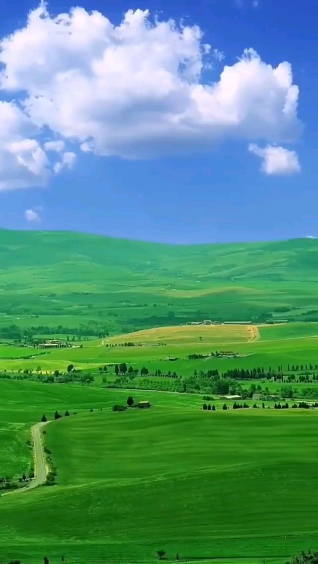 绿油油的大草原