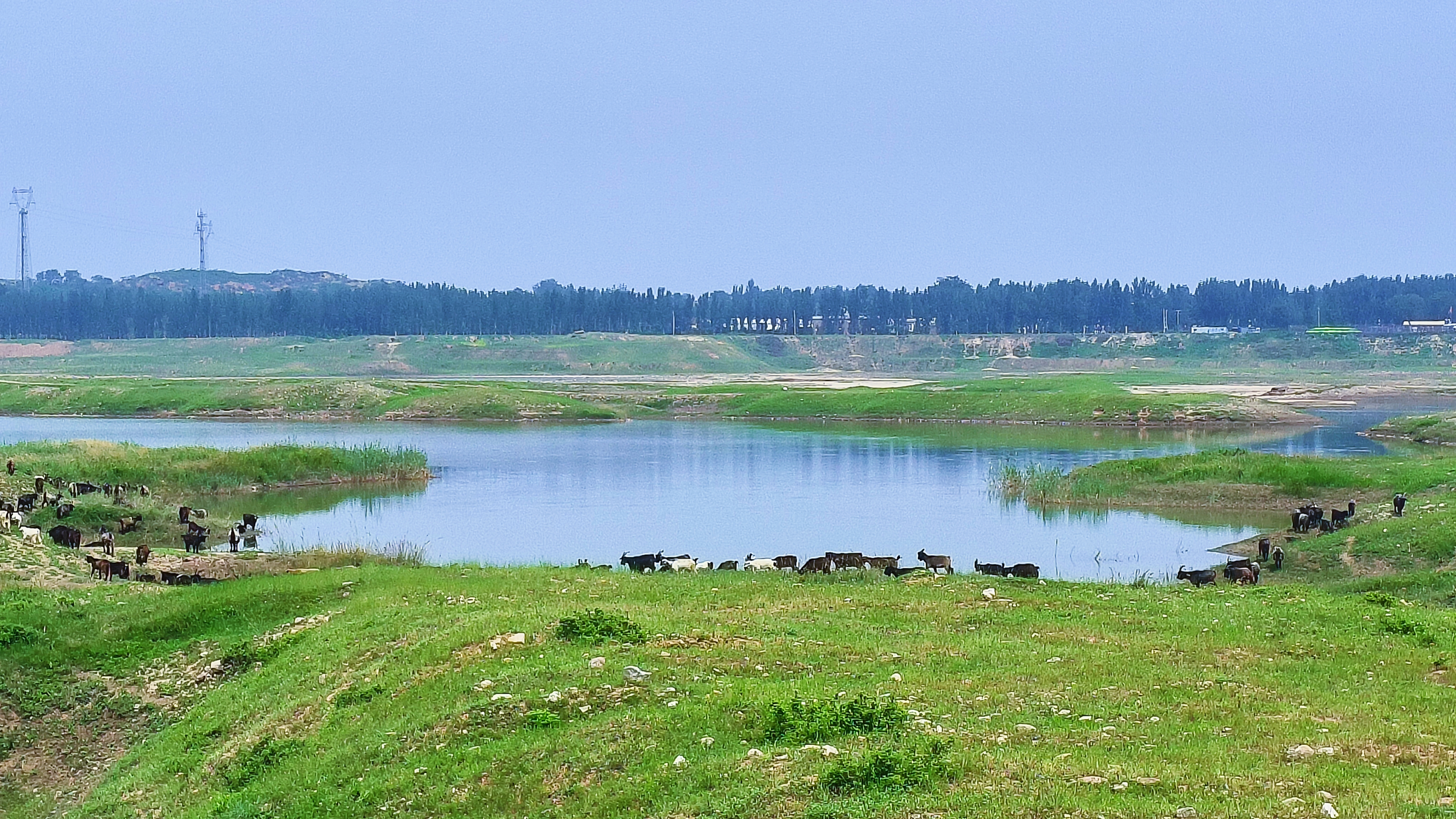 邢台青山白马河,酷似塞外草原,又如水中雅丹