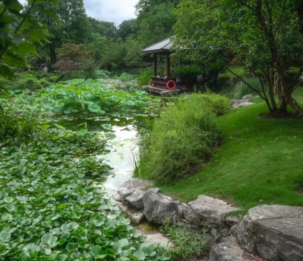 上海莘庄公园大自然奇观