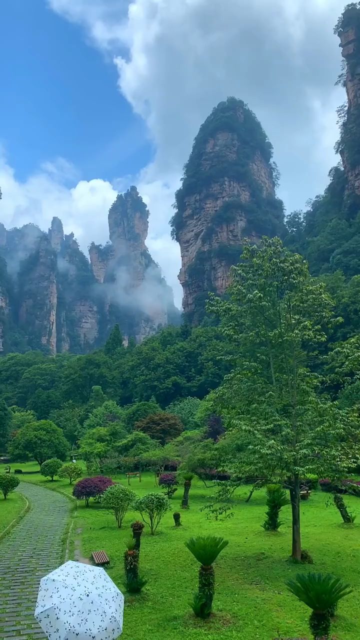 远离城市喧嚣,风景迷人的张家界#快手旅行家 #宅家看风景