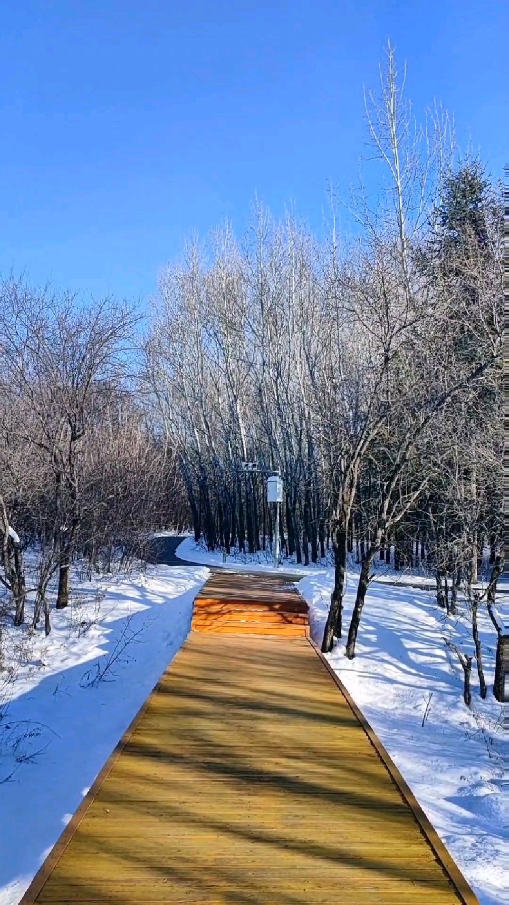 家乡小城公园中,一年四季春夏秋冬美景,喜欢一个人静静的走慢慢的看