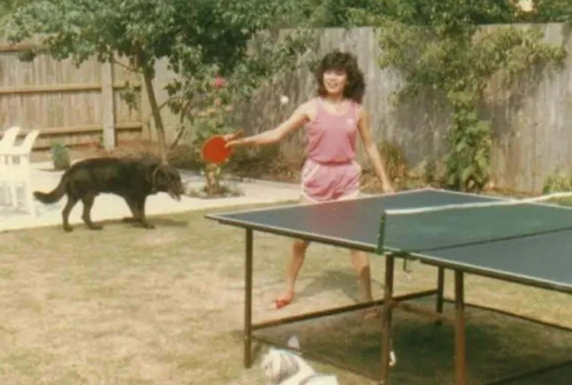 翁美玲生前居家旧照,这是她在英国的家,后花园中养着猫猫狗狗,翁美玲