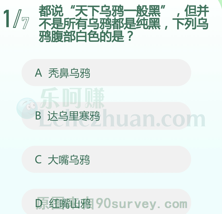 达乌里寒鸦腹部是白色的 达乌里寒鸦腹部是白色的
