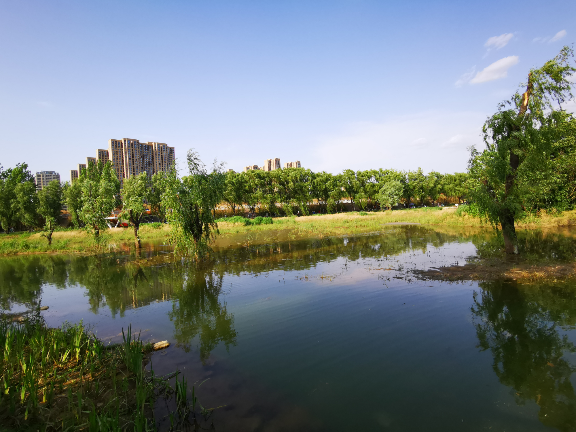 西安夏日玩水好去处,樊川公园风景如画