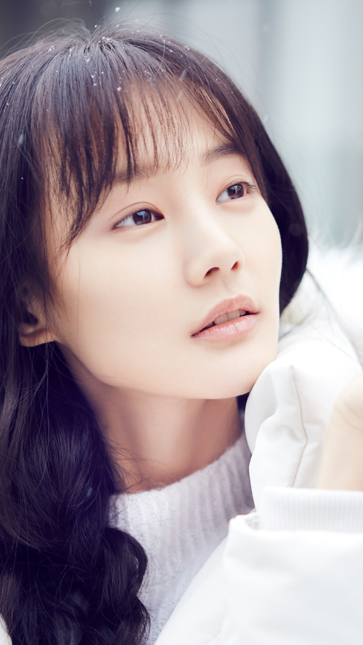 气质优雅李一桐图集