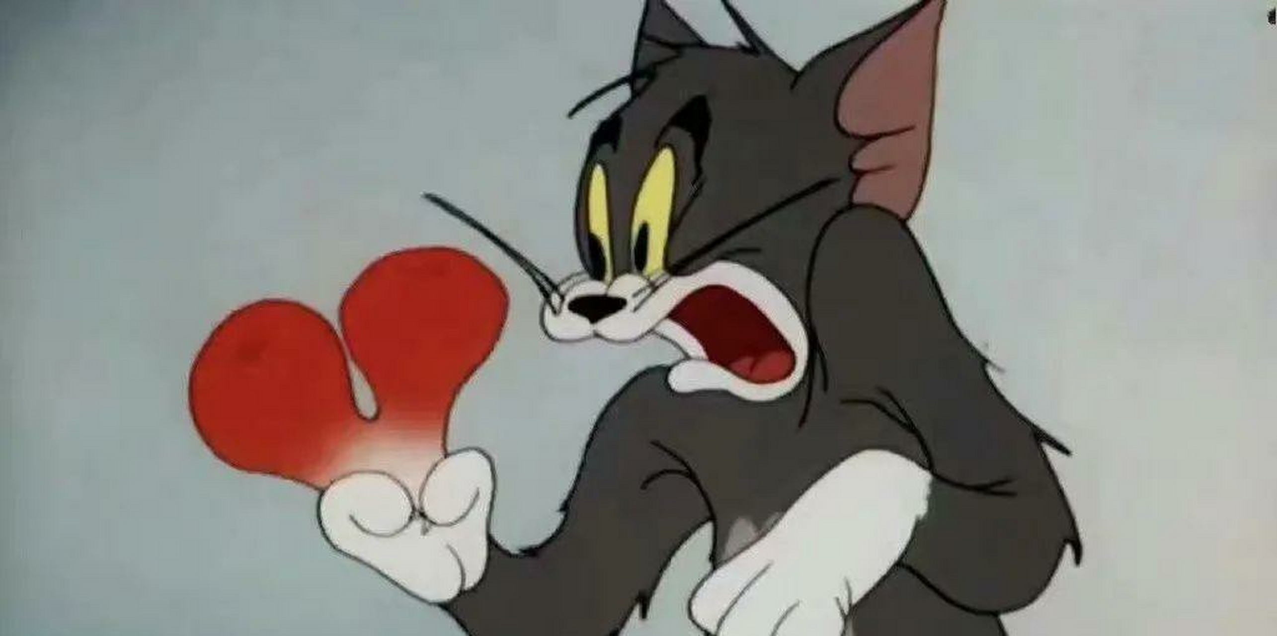 原来《猫和老鼠》真的没有骗我#搞笑# #趣图搞笑# #逗你玩呢