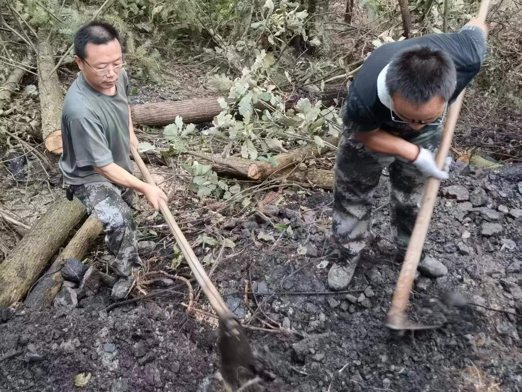 铜梁区罗天琼图片图片