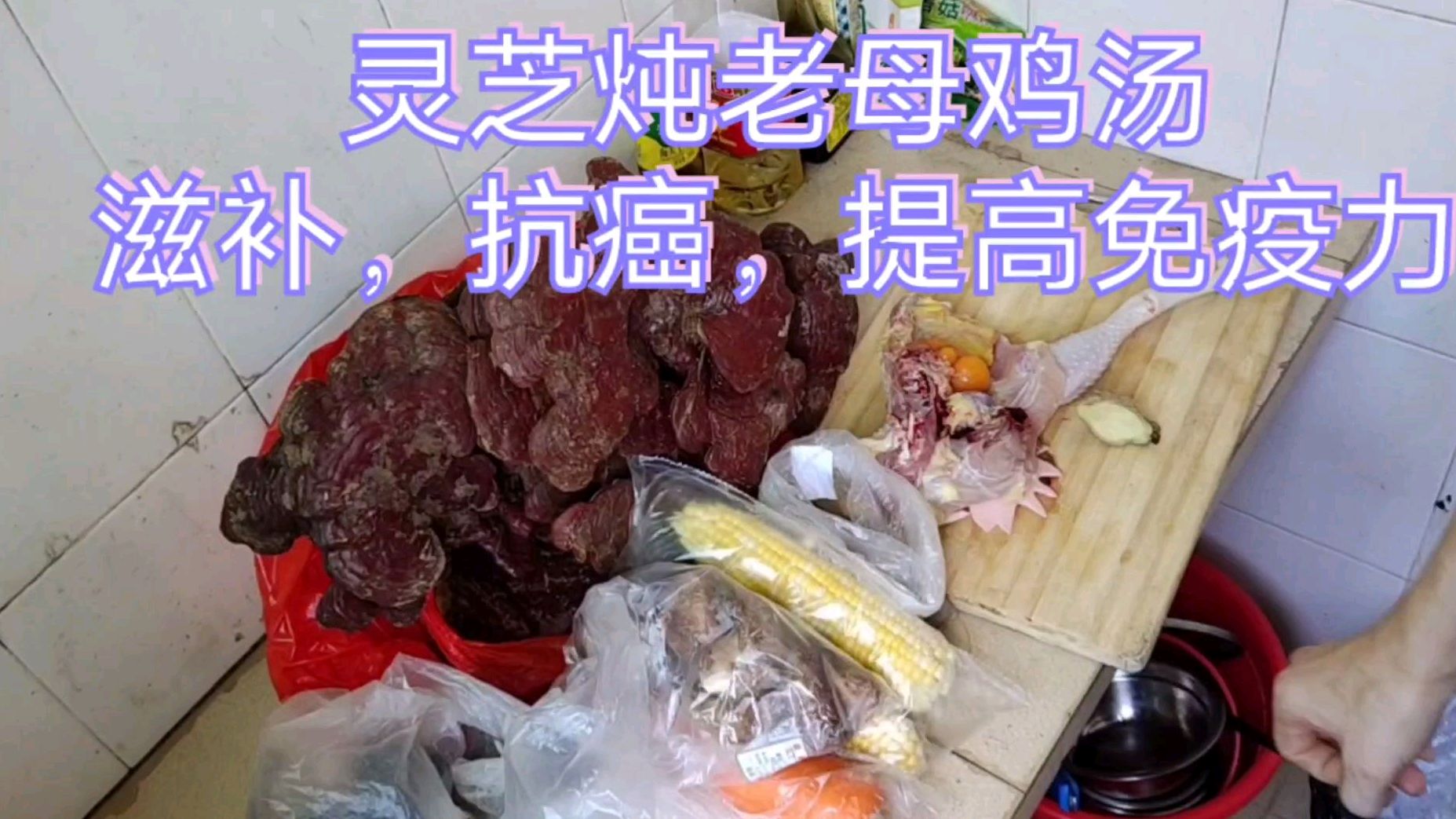 老农哥用灵芝炖鸡汤一个月吃一到两次能抗癌,增强免疫力哦