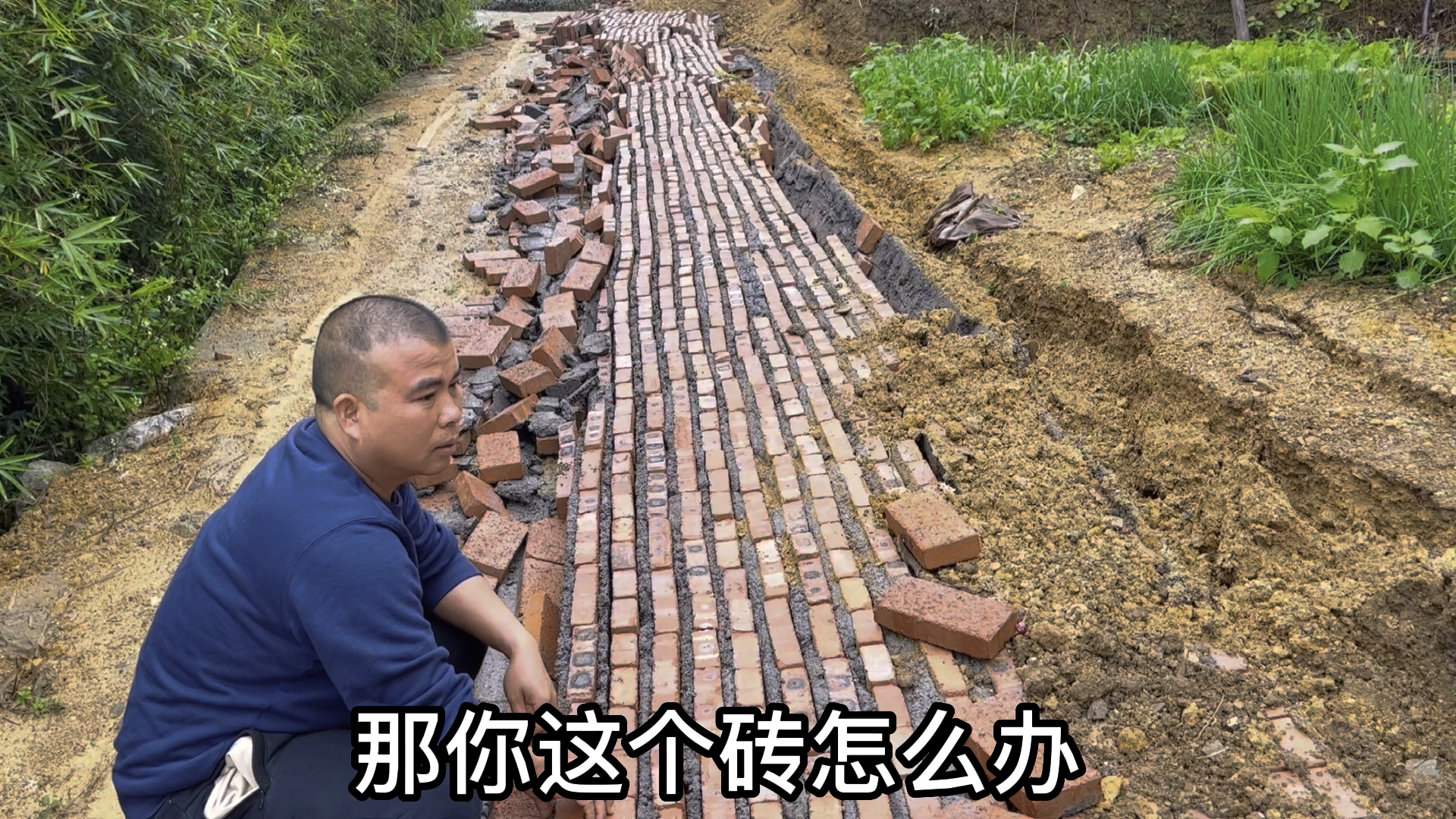 好不容易等来了一场雨,可雨太大了,阿平的菜园围墙倒了