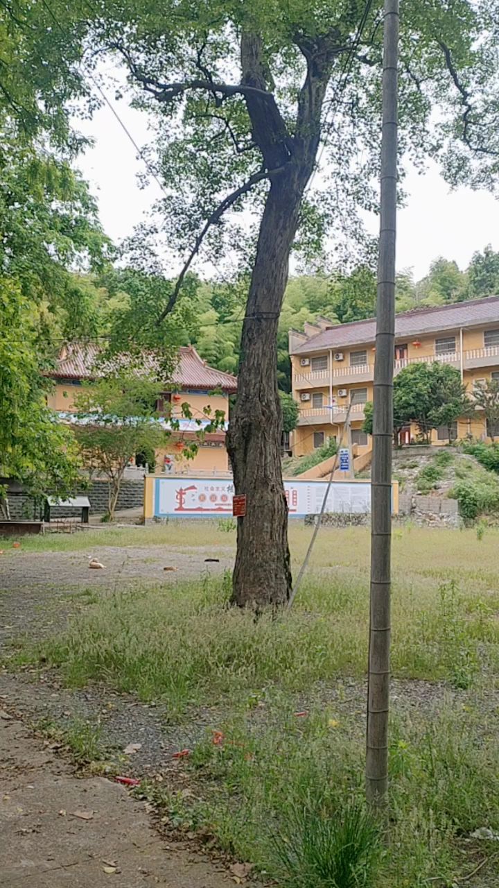 安徽省,宣城市,狸桥镇.