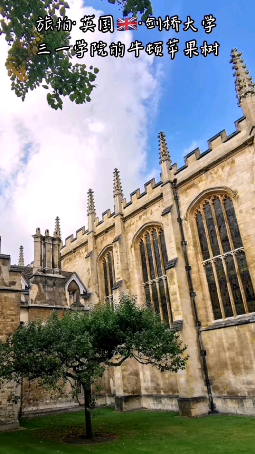 旅拍英国剑桥大学三一学院的牛顿苹果树
