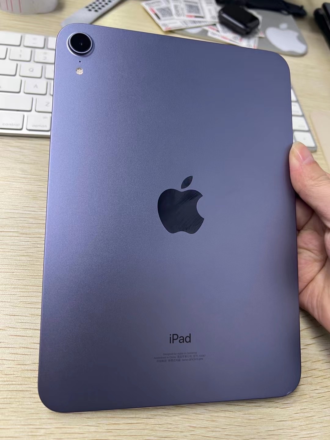 ipadmini6
