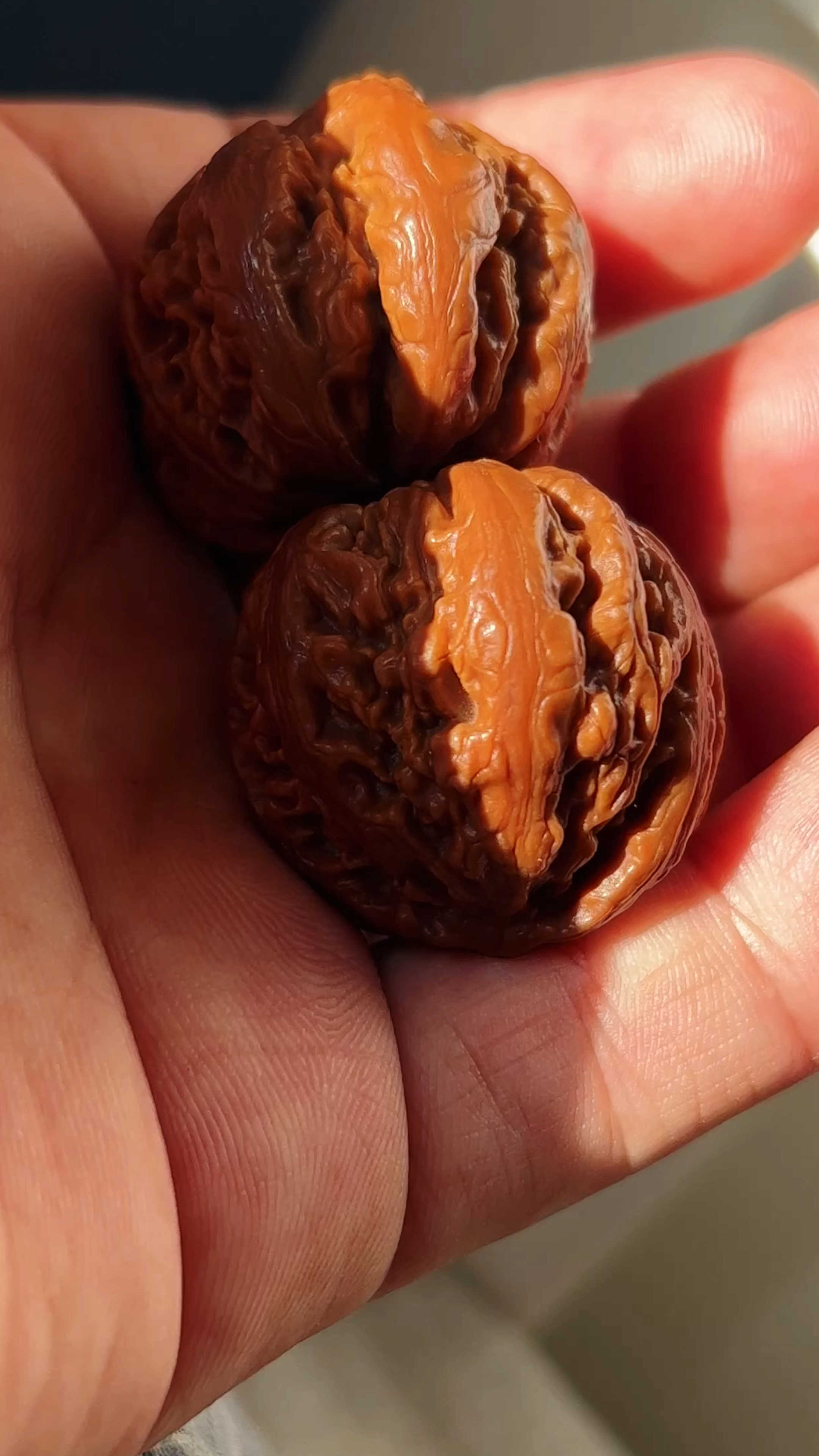 京八棱霸王龙,时间见证岁月的包浆!-度小视