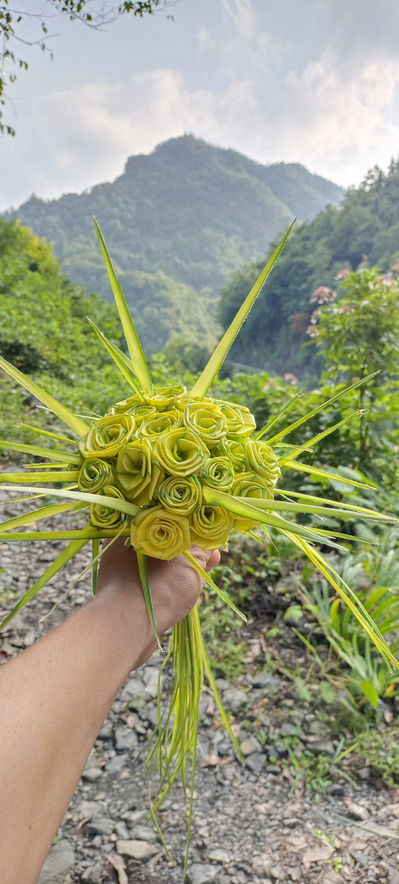 棕叶编花图片