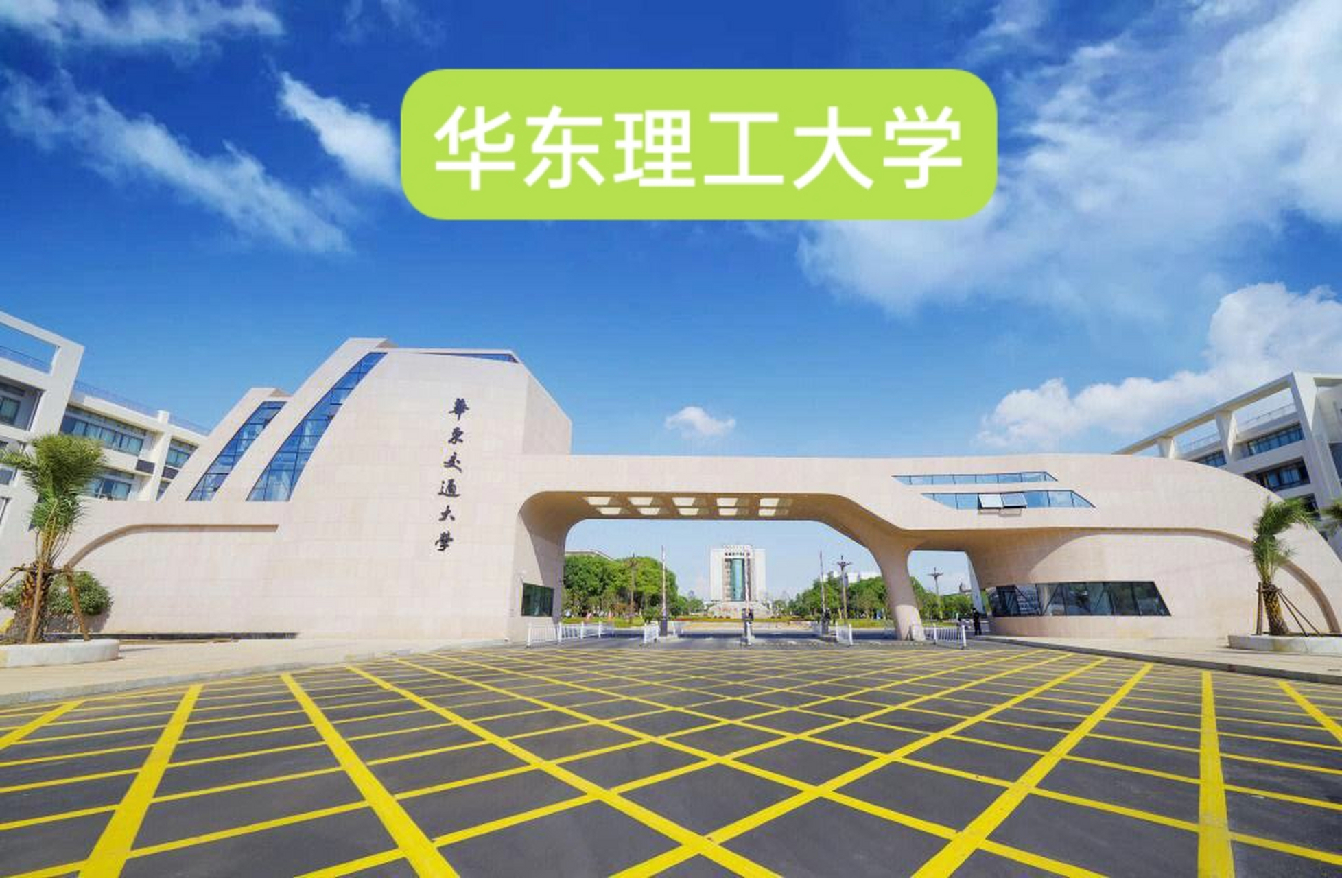 大家都知道,我国本科高等学校多达1000多所,在这么