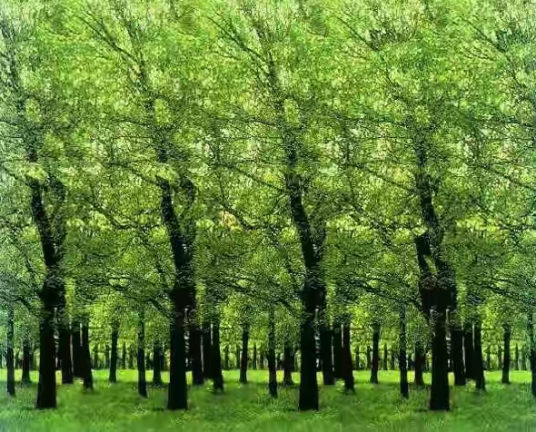 25张裸眼3d图片,带你重温童年的记忆,感受3d的魅力