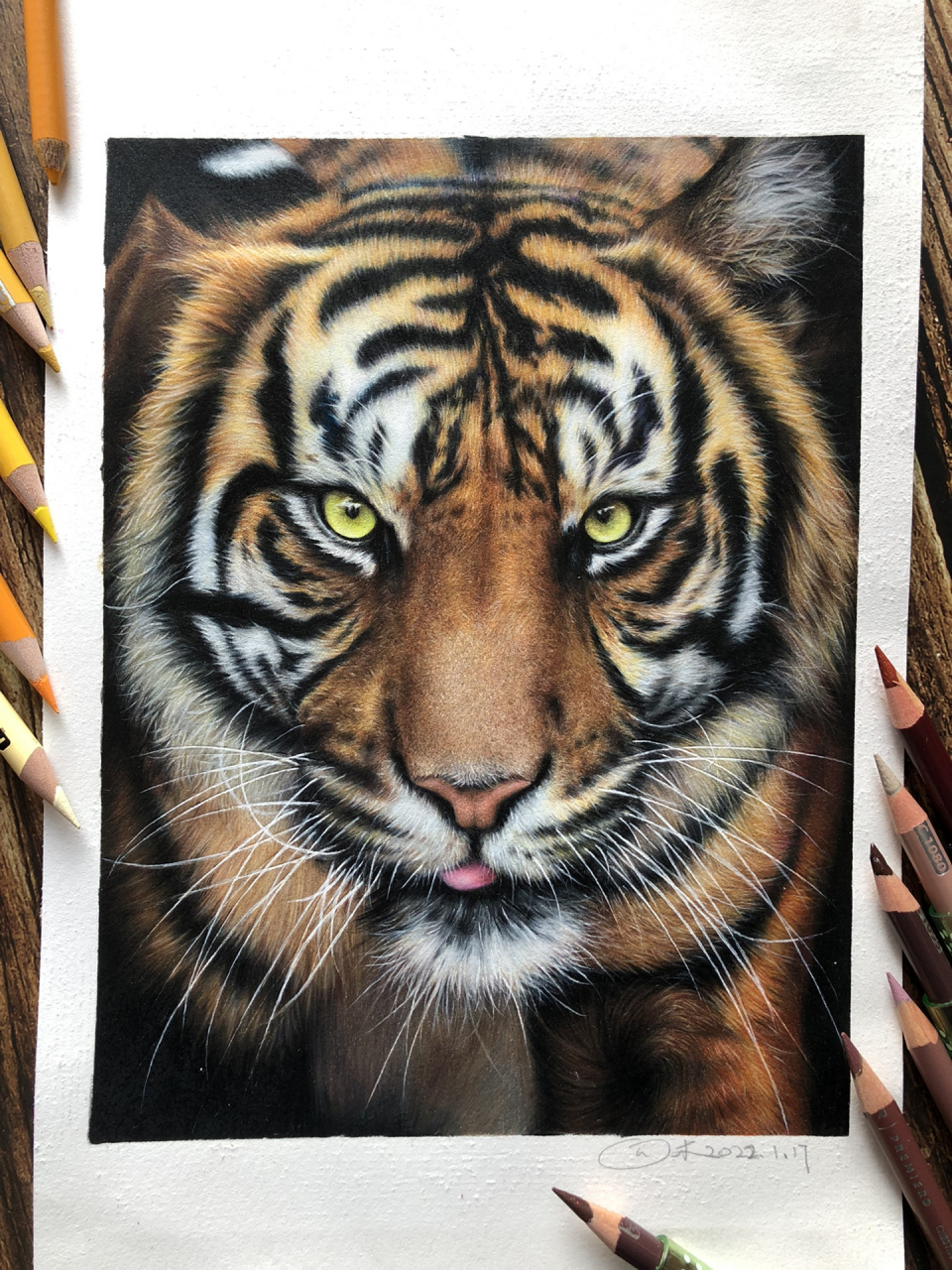 彩铅老虎过程分享,美术老师经常说对于初学者来说画画就像盖房子,想要