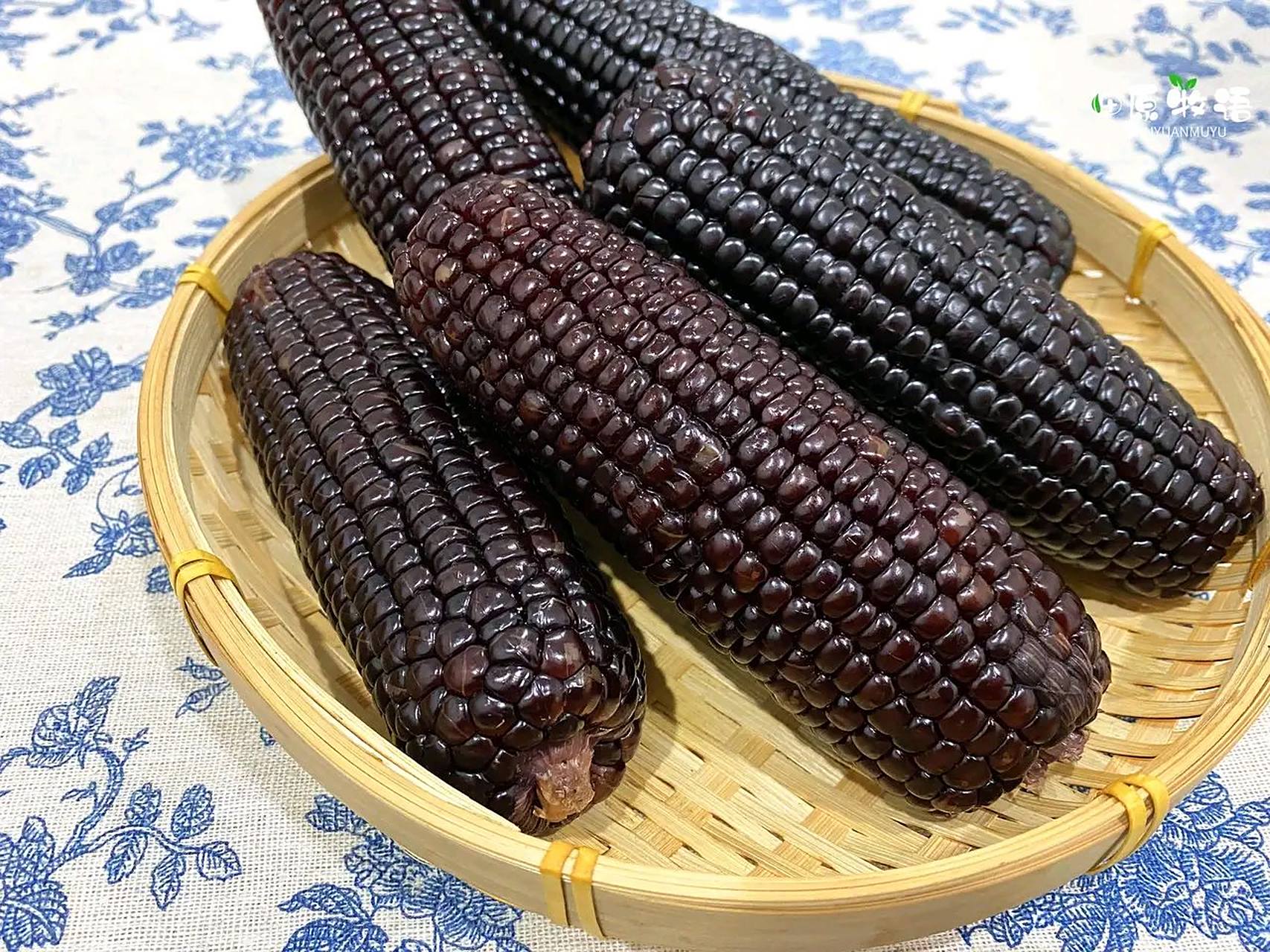 被称为"黑珍珠"的黑糯玉米,玉米须到玉米芯整根都紫黑色会发亮,黑玉米