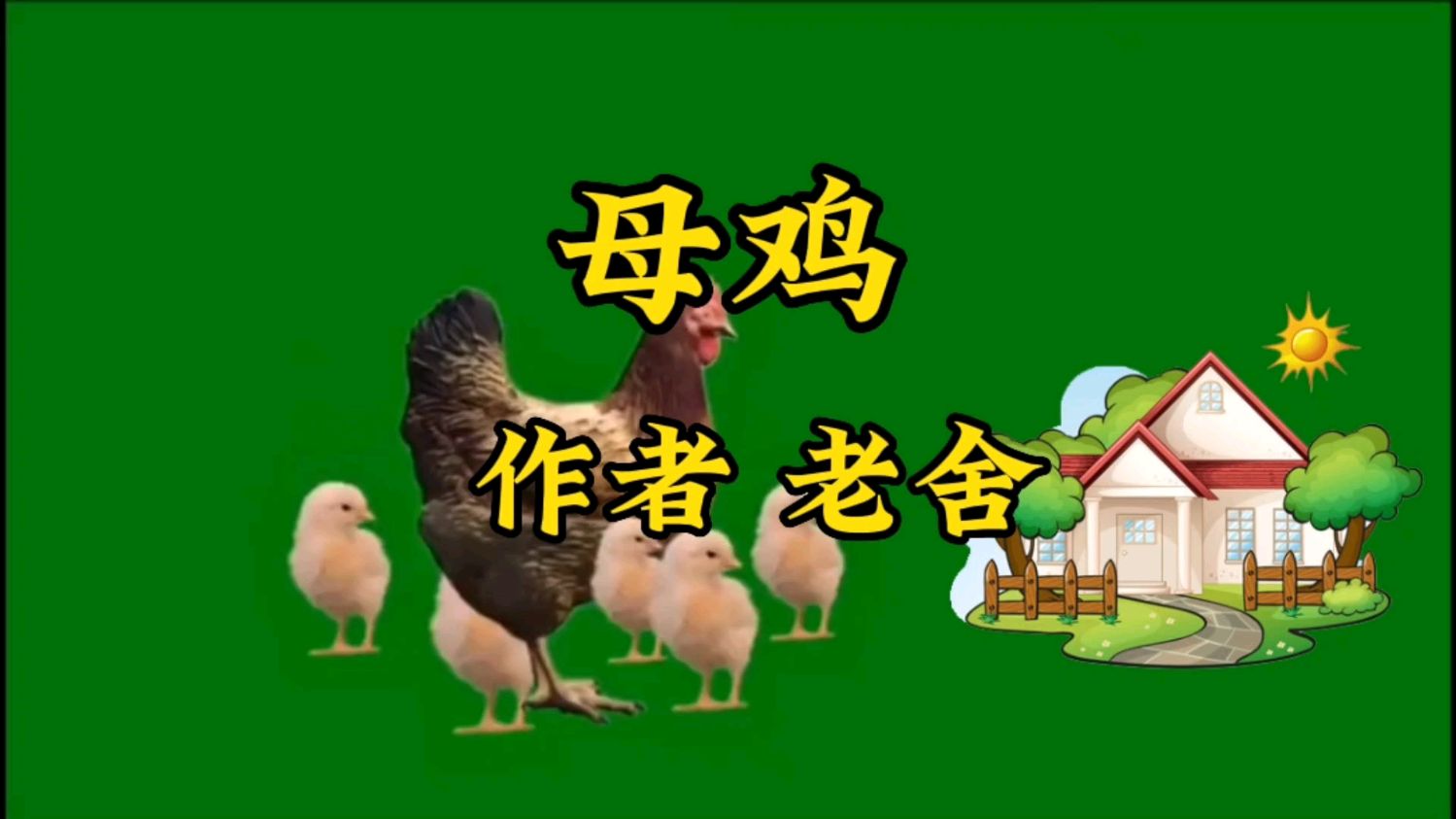 《母鸡》作者 老舍