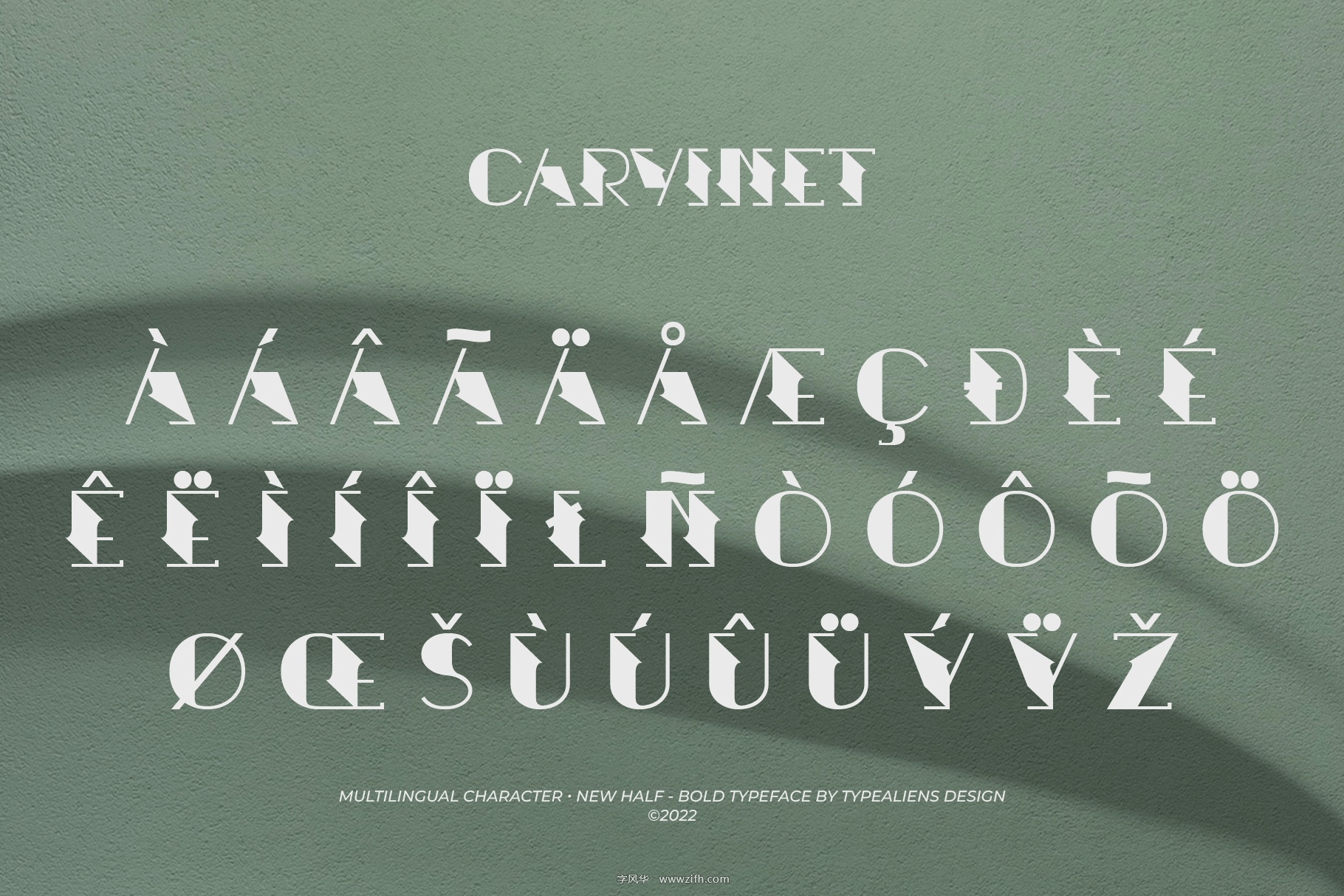 Carvinet Font-9.jpg
