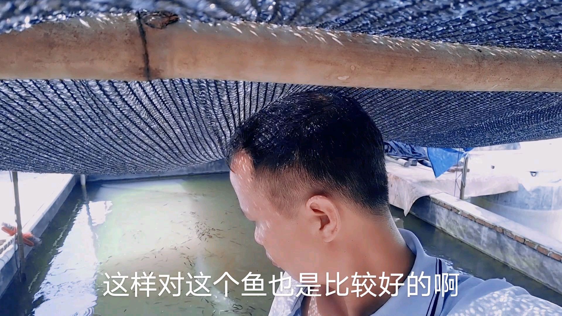 用新型红砖池养鱼,半年就可以卖鱼,这种养法产量提高