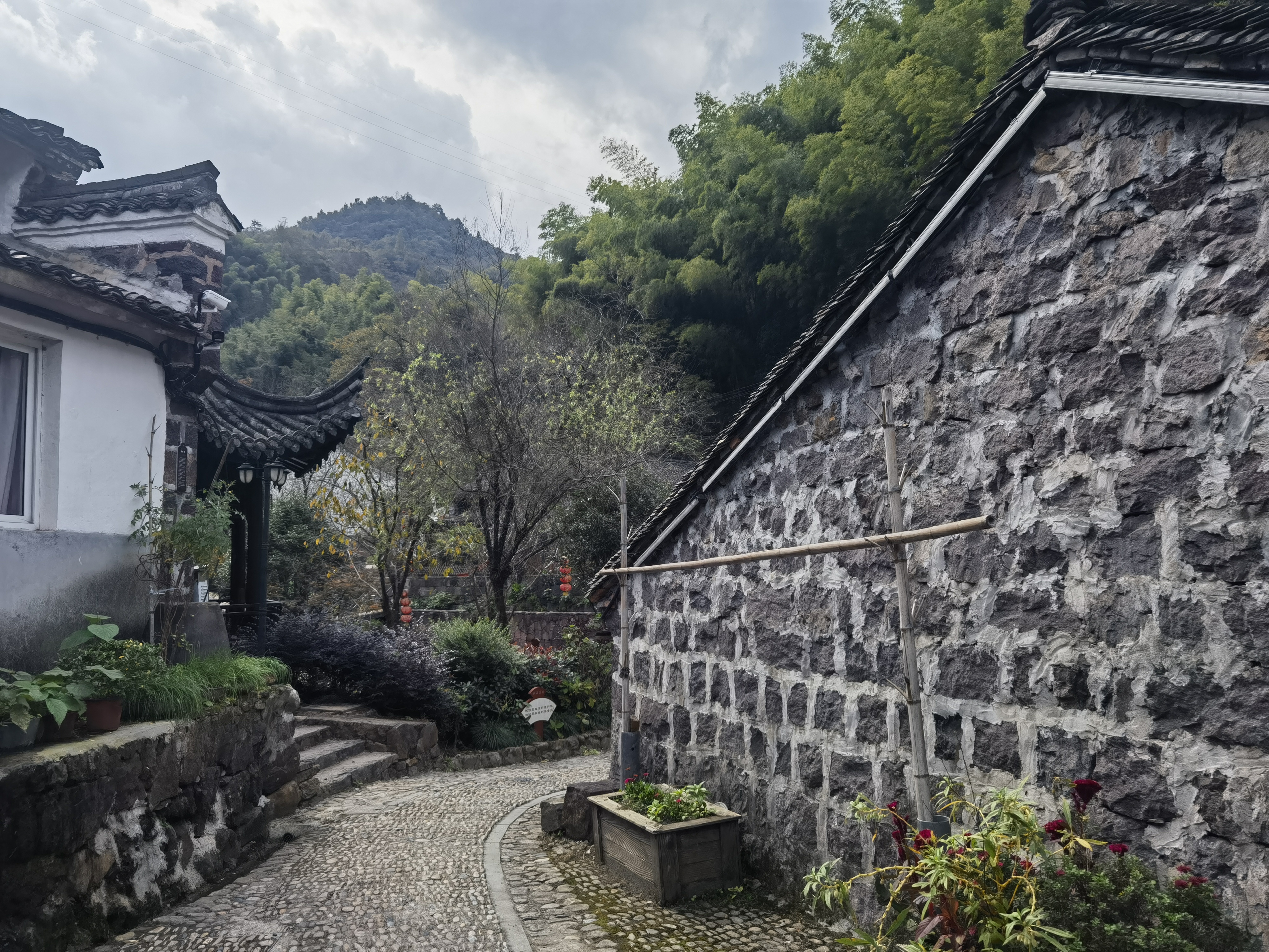 探访历史悠久的李家坑村:古韵与现代元素的完美融合