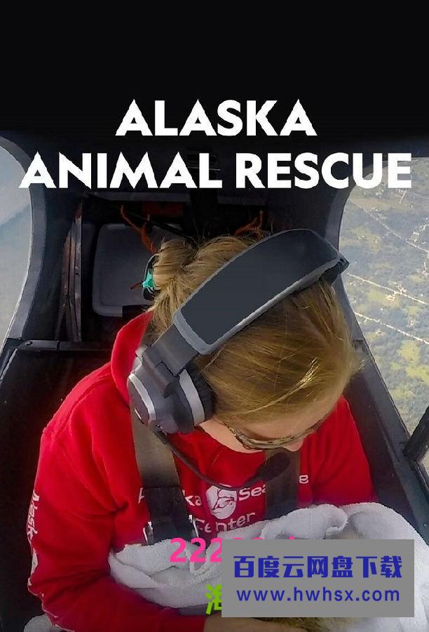 [阿拉斯加野生动物救援 Alaska Animal Rescue 第一季][全06集][英语中字]4K|1080P高清百度网盘