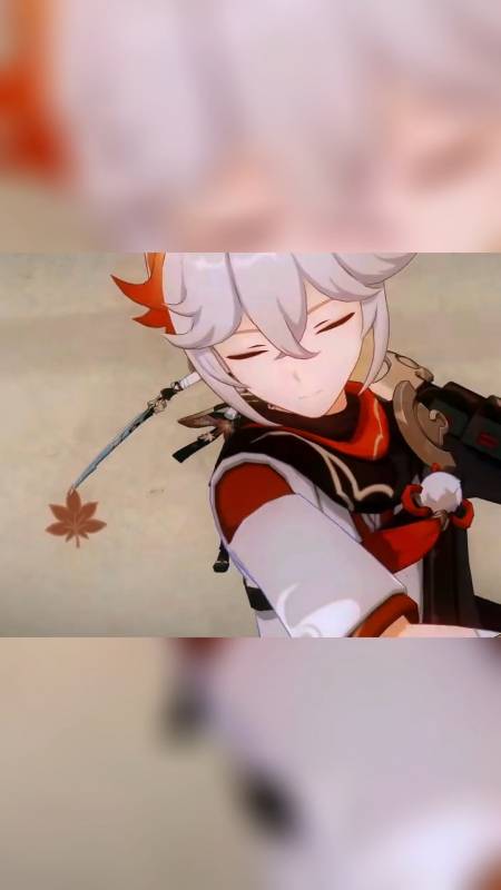 枫原万叶cv斑马深山踏红叶耳畔闻鹿鸣可叹落叶飘零