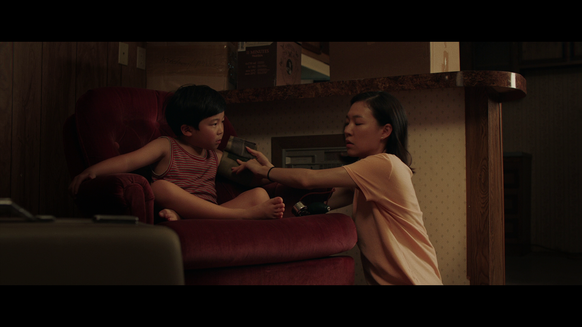 蓝光原盘&REMUX[米纳里]Minari.2020.KOREAN.1080p.BluRay.REMUX.AVC.DTS-HD.MA.5.1-FGT 29.33GB