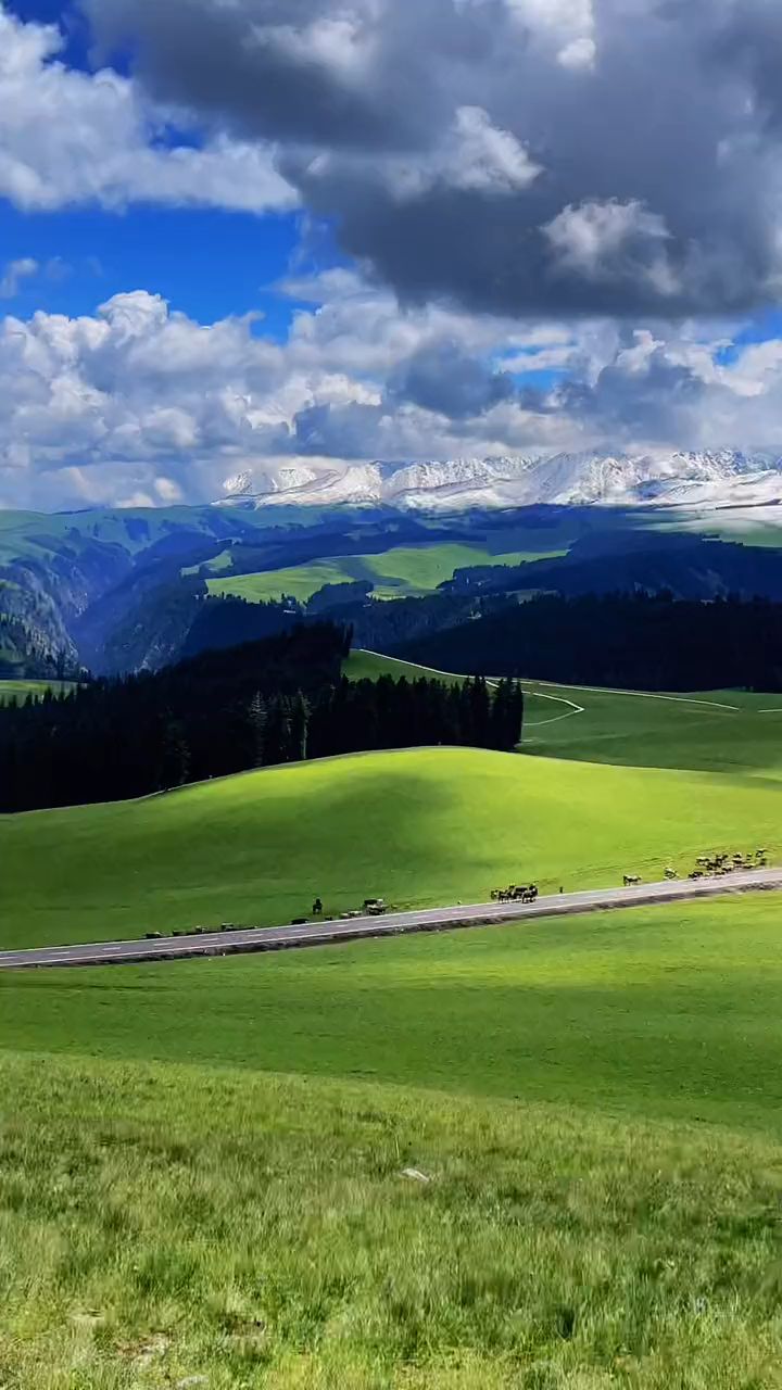 新疆伊犁喀拉峻草原