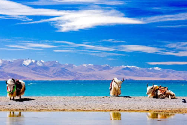 中国"第二大咸水湖",又称"爱之湖",为何引来大量信徒朝拜?